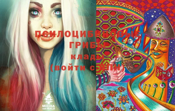 стафф Алексин