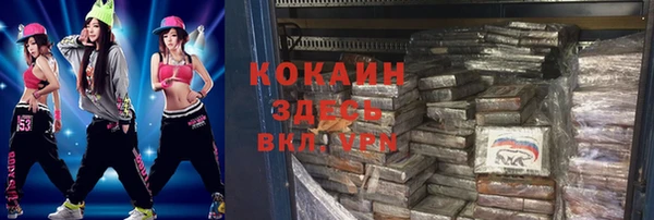 стафф Алексин