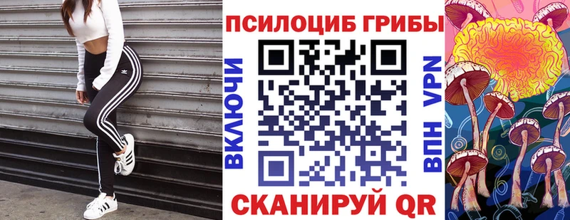 магазин продажи наркотиков  Починок  Псилоцибиновые грибы прущие грибы 